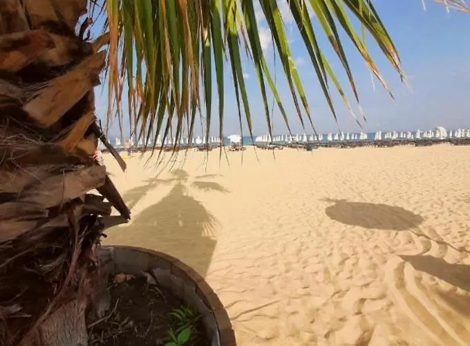 Reina Barcelo Appartement Sunny Beach